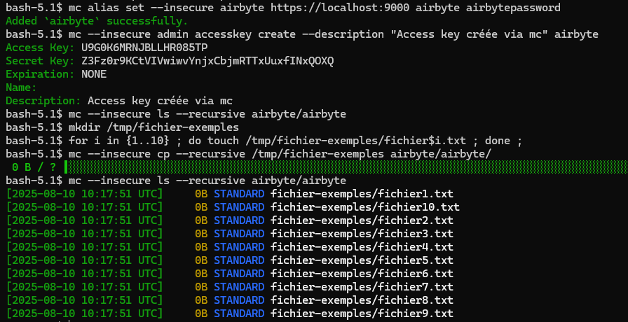 Image montrant des exemples de commandes avec mc
