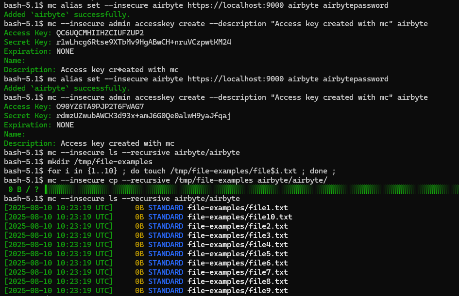 Screenshot showing example commands with mc